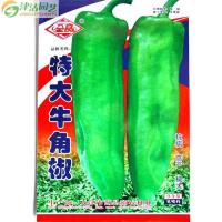 津沽园艺 蔬菜种子 辣椒种子 牛角椒种子 抗病 高产 椒大 非常容易 春季四季植物 1包