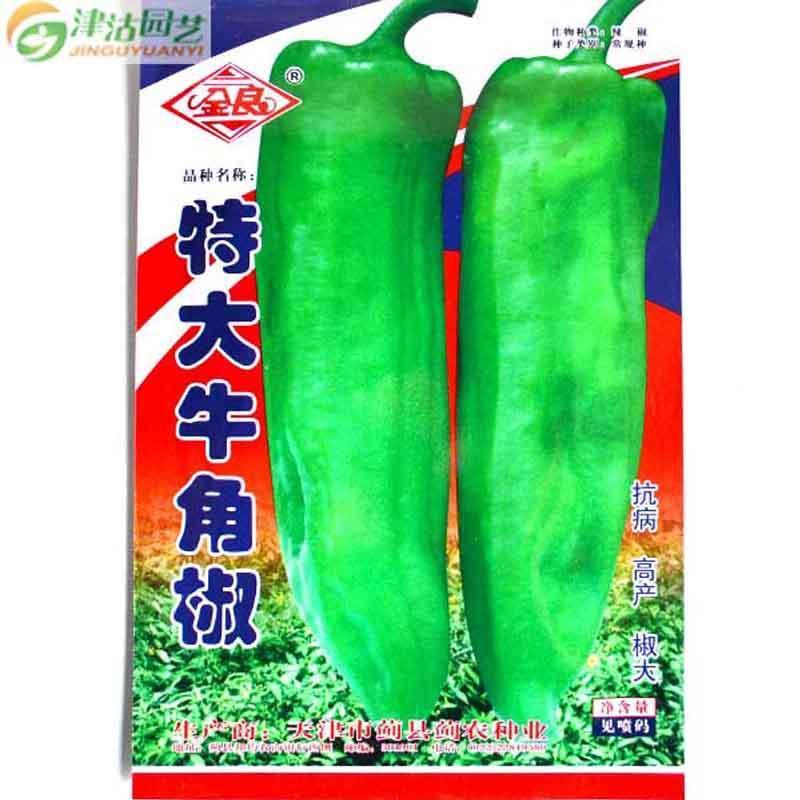 津沽园艺 蔬菜种子 辣椒种子 牛角椒种子 抗病 高产 椒大 非常容易 春季四季植物 1包