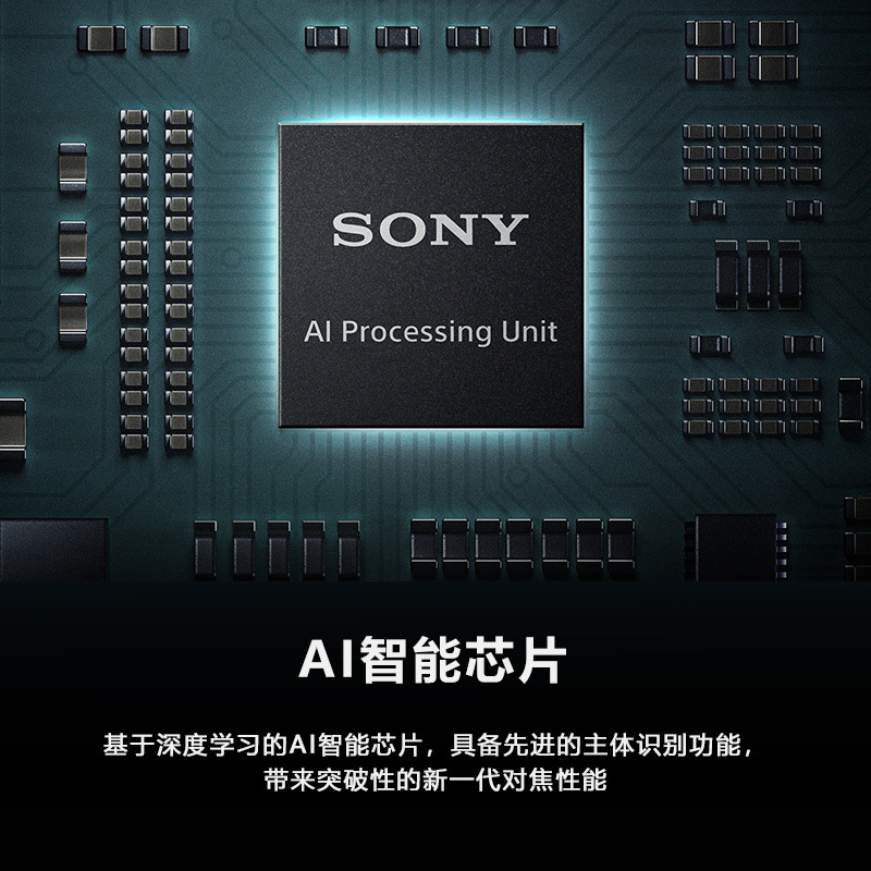 索尼(SONY)Alpha 7R V 新一代全画幅微单相机™双影像画质旗舰 约6100万有效像素(ILCE-7RM5/α7R V)