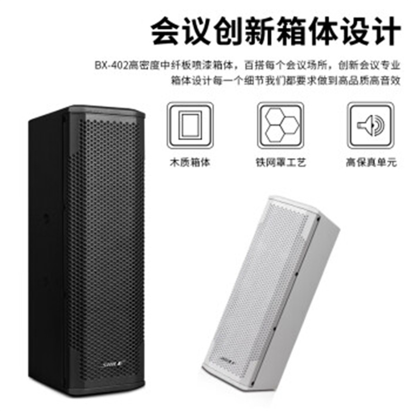 狮乐 (SHILE)AV108/BX402黑1拖2话筒/天琴十四号 专业中小型会议室视频音响系统调音台音柱功放音箱组合