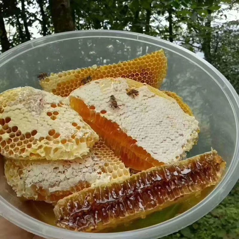 百花蜜 野生蜂巢蜜百花蜜 老巢土蜂蜜 深山真蜂蜜木桶蜜一年割一次土蜂蜜