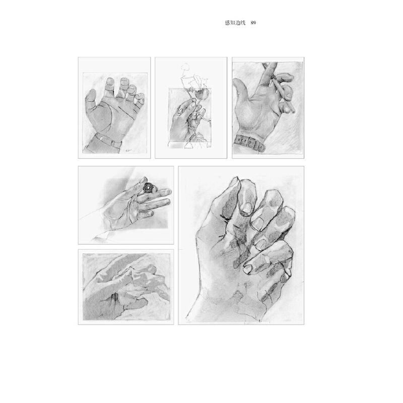 [正版]五天学会绘画(升级版):绘画的五项感知技能的学习与练习;了解左脑思维和右脑思维,学会运用绘画感知技能,开发创造高清大图