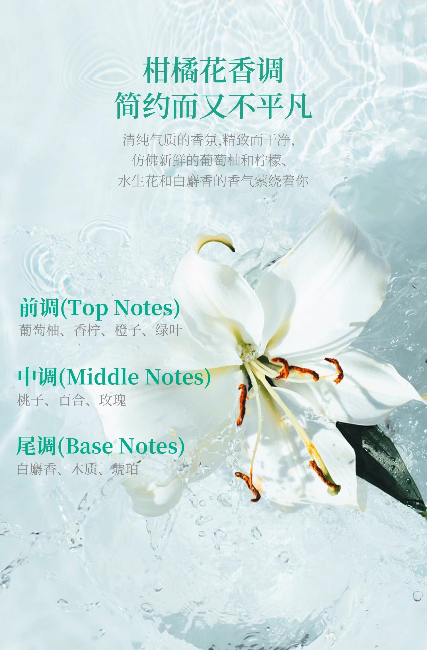 花王护发精华喷雾 修复干枯毛躁 水润顺滑 护色防烫 便携设计高清大图