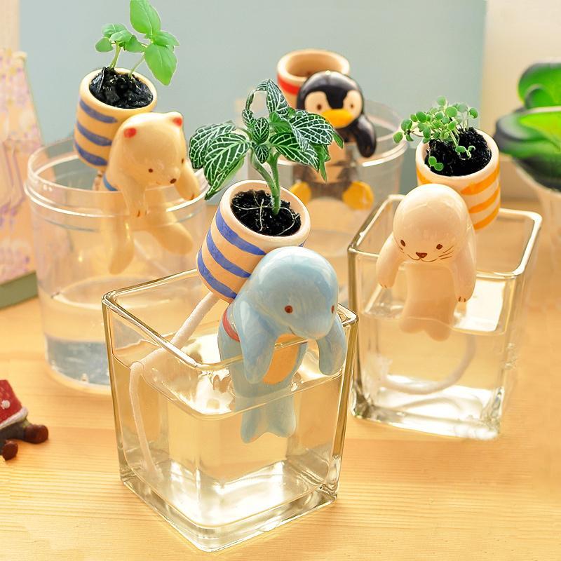 吸水可爱创意迷你水培植物办公室桌面小盆栽摆件儿童diy种植礼品