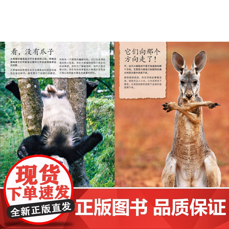 [正版] DK儿童野生动物行为小百科 英国DK公司 中国大百科出版社 9787500095590 科普百科 少儿 正高清大图