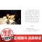 猎人们 朱天心当代小说非典型猫书钢筋混凝土丛林中的猫族豪侠传上海人民出版社