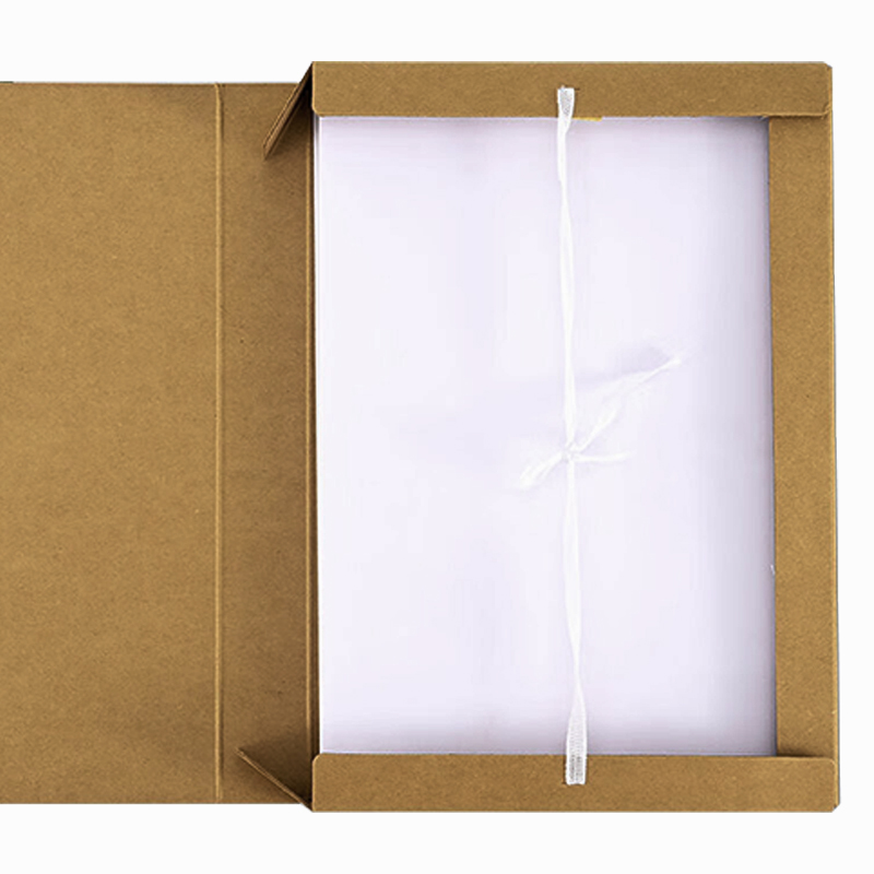 优彩嘉 A4进口无酸纸档案盒100mm D-100 单位:个高清大图