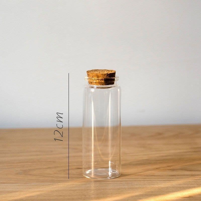 家柏饰(CORATED)软木塞高硼玻璃瓶装饰摆件微景观玻璃罐收纳杂货干花标本 B(4.7cmX12cm)图片