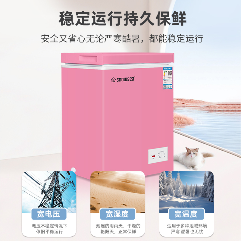 香雪海迷你小冰柜 玫瑰粉冰柜 Q版可爱个性 母乳储藏冷柜 家用冷藏冷冻 卧式冰柜冷柜 68升 BD/BC-68S118高清大图