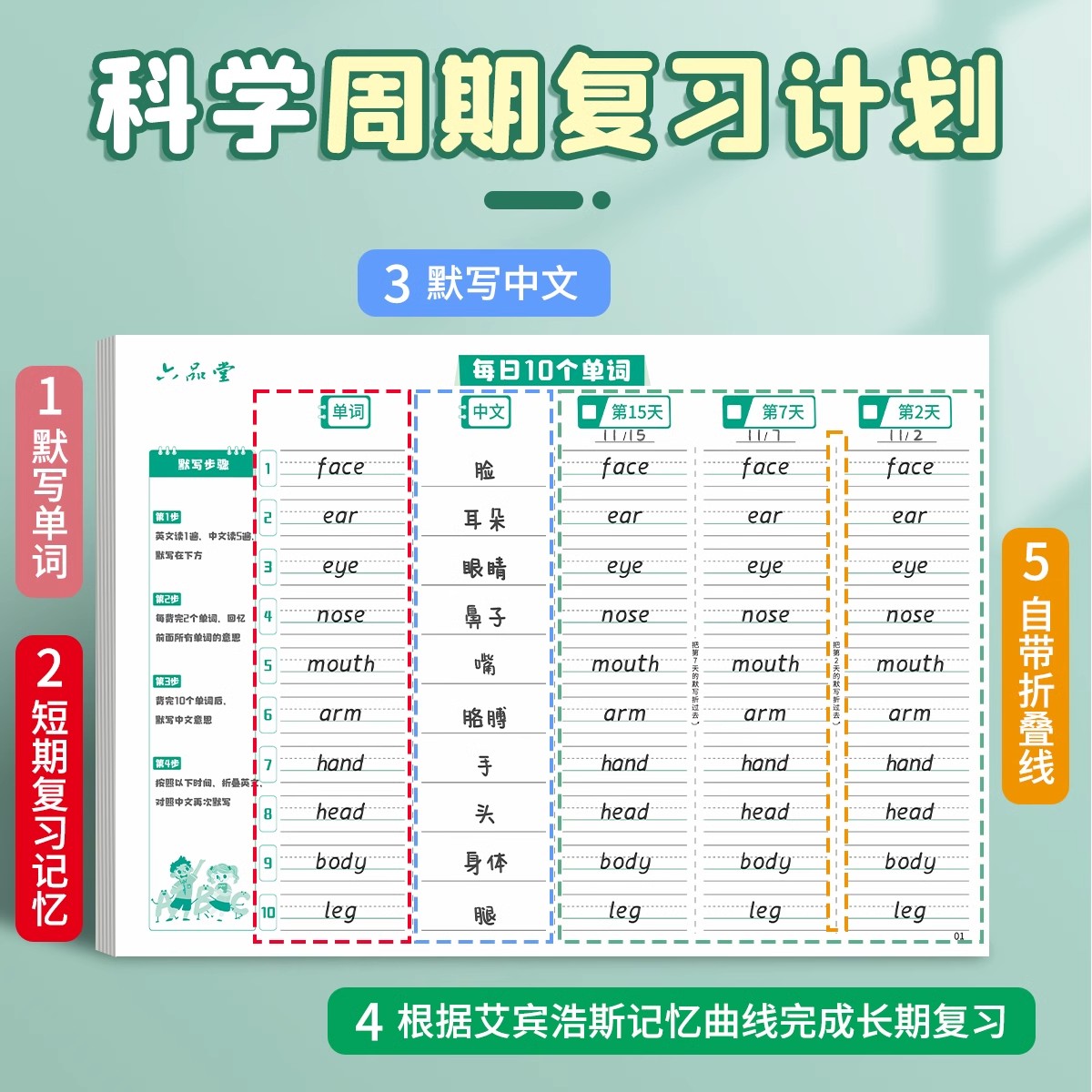 [2本装-可背800单词] 无赠品 [正版]英语单词本记忆本小学生初中生单词艾宾浩斯遗忘记忆曲线一二三年级背单词英语字帖高清大图