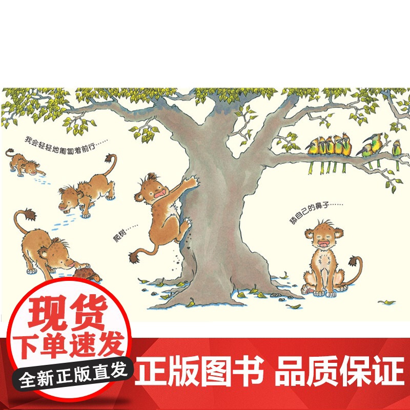 像爸爸一样硬壳精装图画书海豚绘本花园适合2岁以上亲子阅读正版童书高清大图