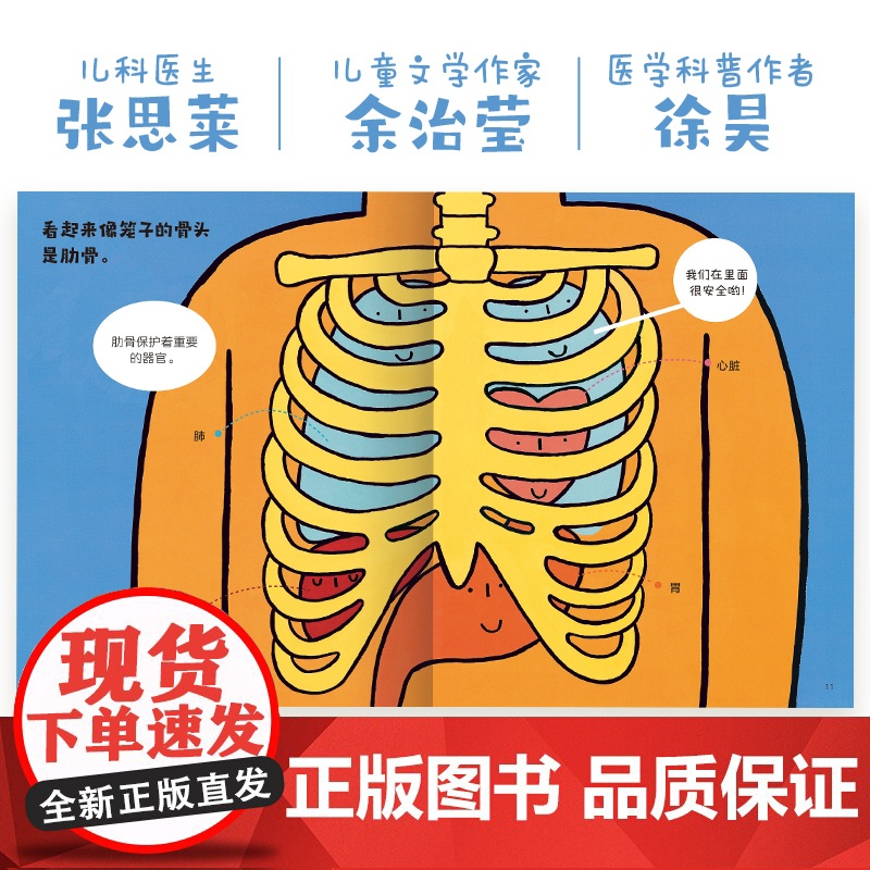 身体大发现 认识我自己(共7册)高清大图
