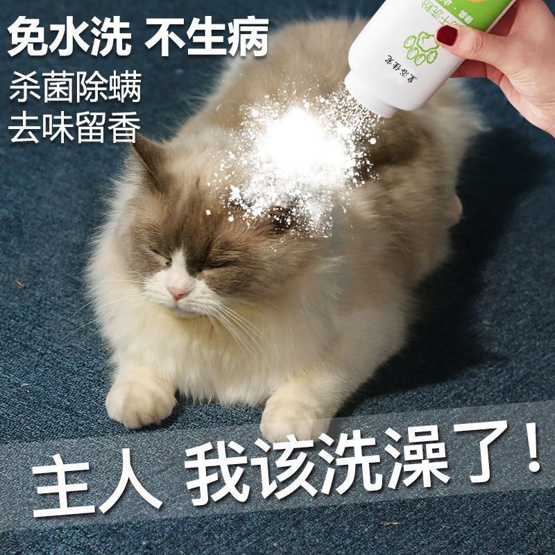狗狗洗澡干洗粉宠物猫咪幼犬免洗泡沫沐浴露杀螨除菌全身干粉用品 一瓶装+洗澡刷 干洗粉:除臭抑菌