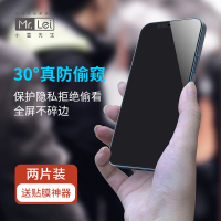 小雷先生苹果12防窥钢化膜两片装适用iPhone 12mini蓝光全屏覆盖防摔手机贴膜抗指纹超薄保护偷看全包边玻璃