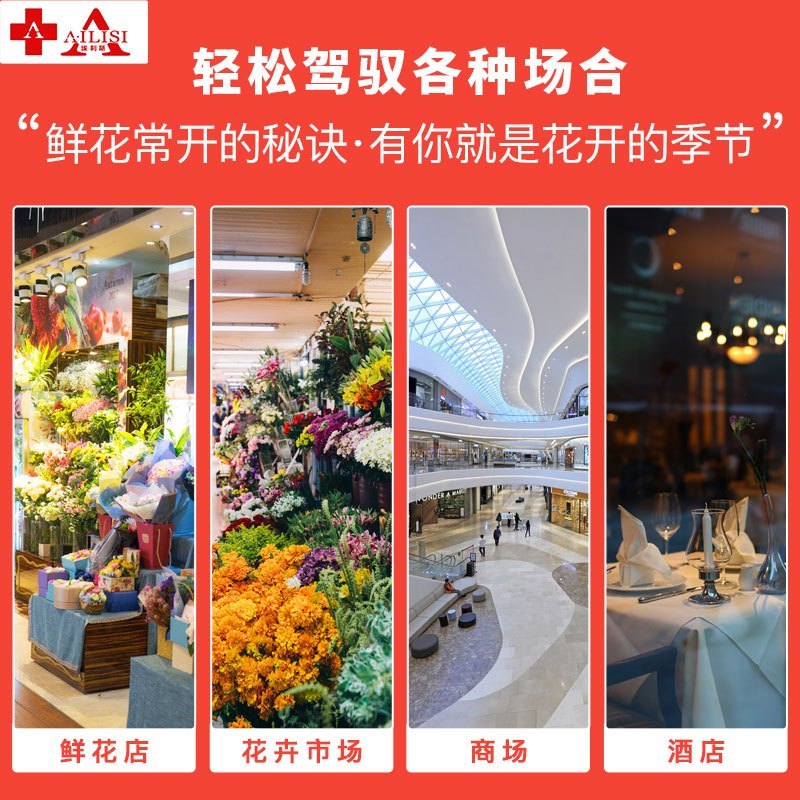 埃利斯(AILISI)鲜花保鲜柜XC-450SL风冷保鲜柜风冷商用展示柜冷藏柜鲜花植物柜花店立式陈列柜