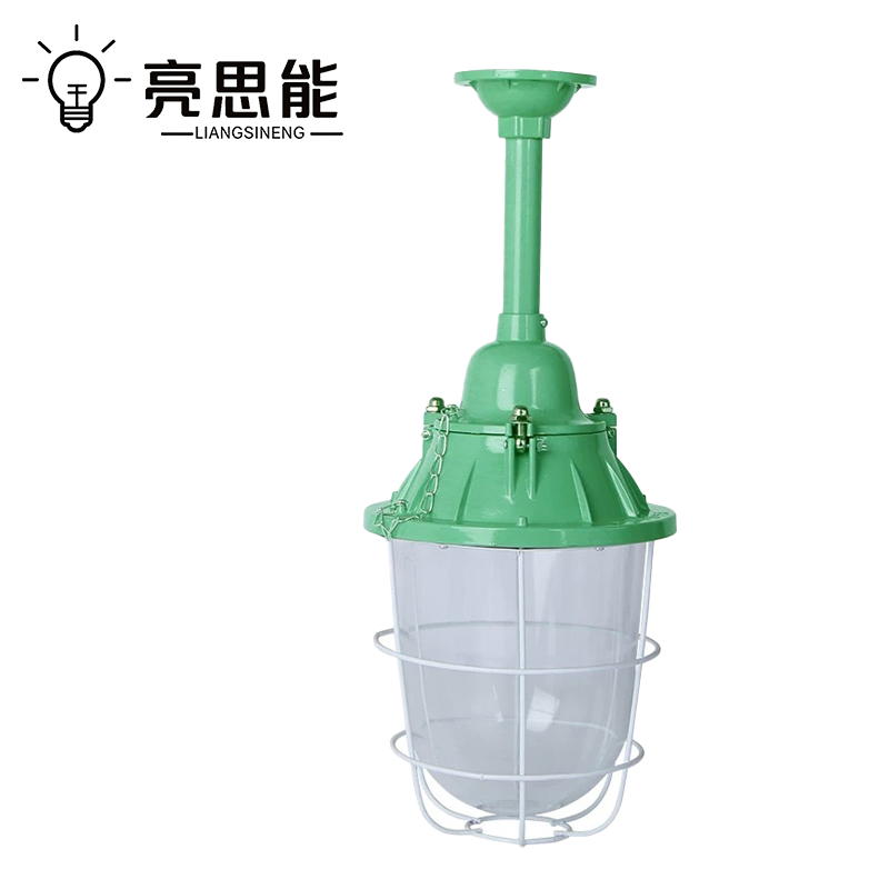 亮思能 LED防爆灯 隔爆型照明灯 250型+50W球泡 LSN-1370 个高清大图