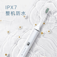 苏宁小Biu 声波电动牙刷 清洁电动软毛牙刷成人学生充电式高频声波震动SH-YS1W
