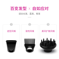 飞科(FLYCO)电吹风FH6273 2200W6档大功率均温变速健康柔风负离子功能冷热风发廊家用吹风筒