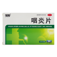 999咽炎片0.25g*48片（351076）