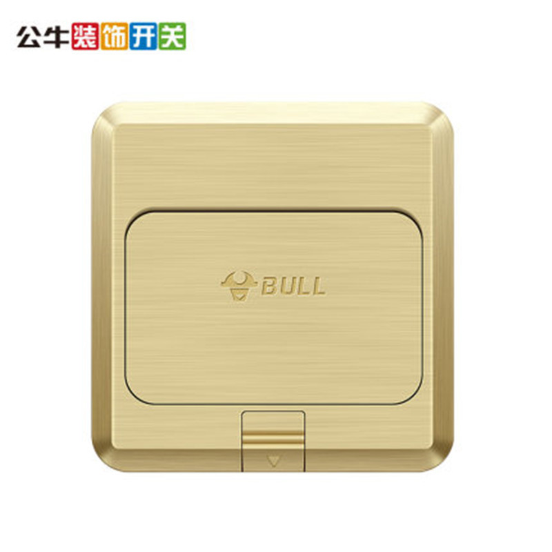 BULL公牛 GD1Z222 地插