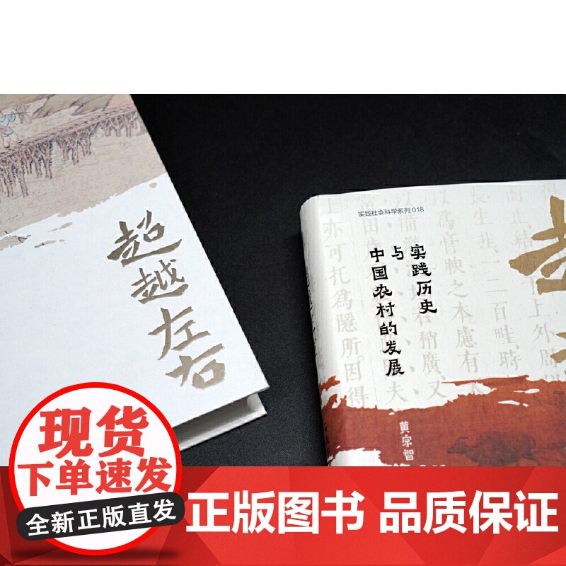 大学问·超越左右:实践历史与中国农村的发展 9787559867230 广西师范大学出版社 黄宗智 大学问出品 2024高清大图