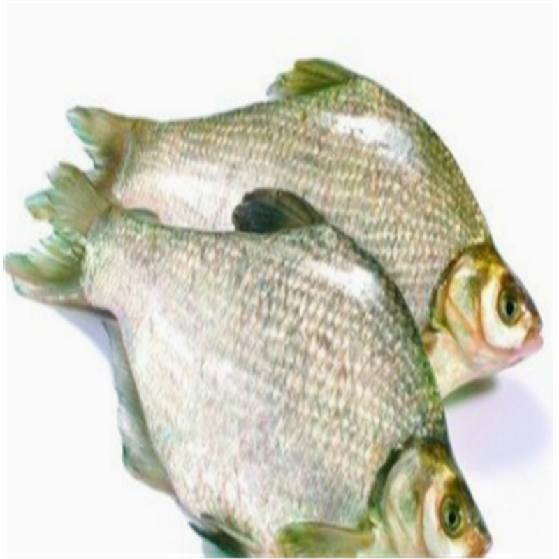 苏众(su zhong)鱼类 苏众(su zhong) 鱼类 鳊鱼【价格 图片 品牌 报价