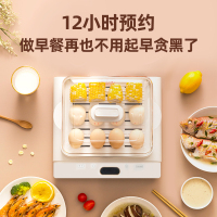 天际电蒸锅DZG-D18AW家用多功能三层大容量18L蒸箱预约定时防干烧蒸菜热饭蒸鱼蒸虾早餐机