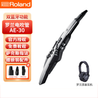 Roland罗兰电吹管AE30专业管乐电子萨克斯多功能吹奏演奏乐器 AE-30【便携包+原装耳机】