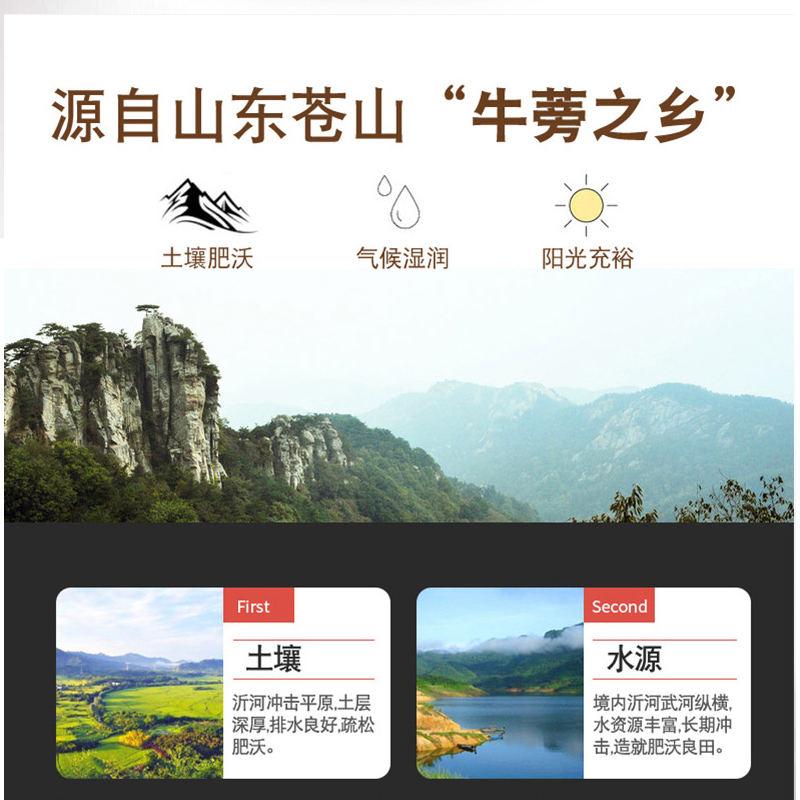 神芝王朝 牛蒡茶正品180g牛旁牛磅茶叶牛蒡根膀牛榜罐装