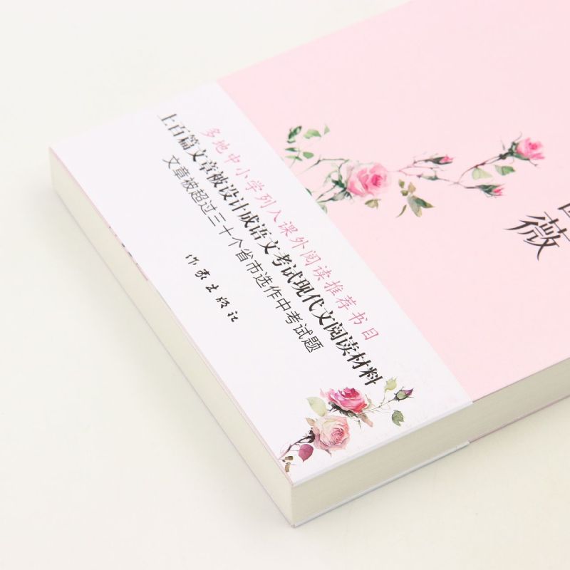 [正版]去细嗅蔷薇 丁立梅 带你细品用音乐煮出的文字 用文字感怀温暖的人生 现代文学作品集 上百篇文章被设计成语文考试高清大图