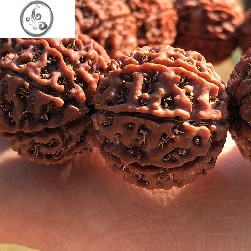 jimi红皮原籽金刚菩提手串男士女大金刚菩提子佛珠手链子7七8八瓣念珠