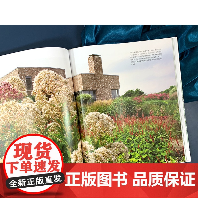 荒野之美 自然主义种植设计 城市规划园林景观种植设计 草园林大师皮特奥多夫自然主义种植设计 大型景观设计家庭庭院植物栽培高清大图