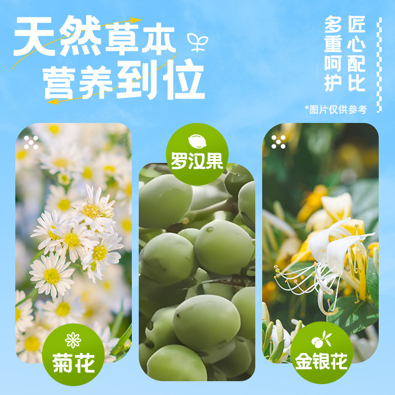 寿全斋无糖菊花茶植物饮料750ml*12大瓶装0脂肪0能量0糖饮料整箱批发
