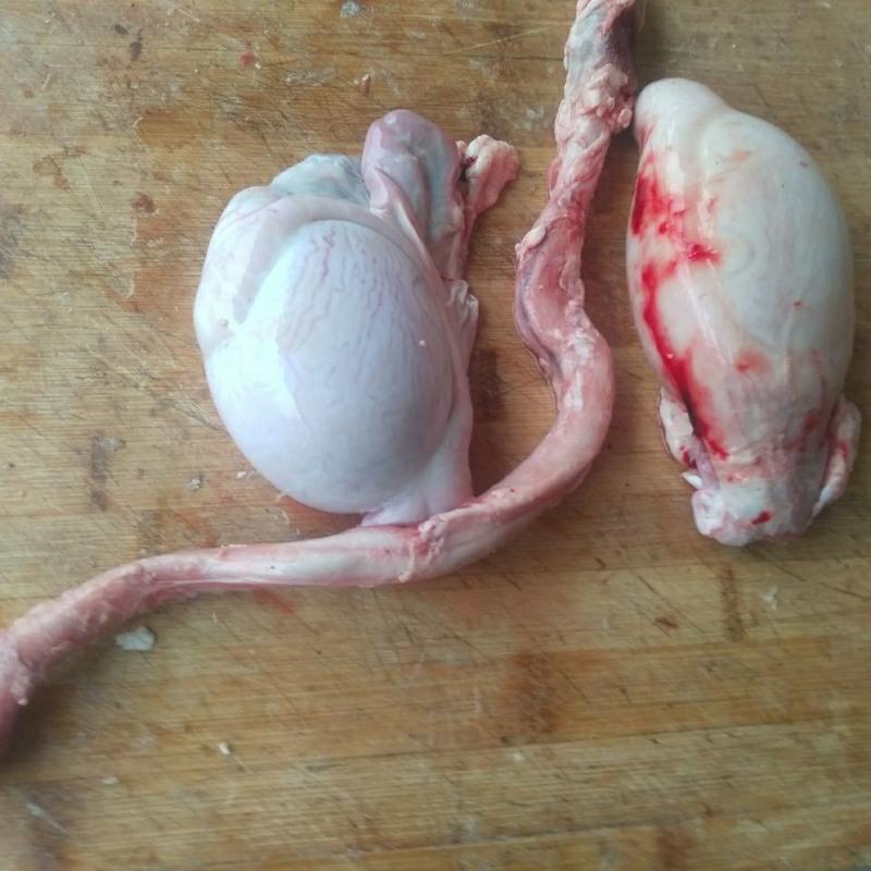 赛卡伊羊宝新鲜羊蛋现杀羊鞭羊球羊三宝生鲜羊生殖器煲汤烧烤刷火锅均