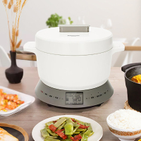 松下(Panasonic) SR-N101 电磁炉电饭煲一体机 IH精准火力控制 备长炭厚锅
