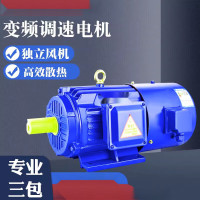 XinDaLi 电机 变频调速电机 YVP160M4-11KW