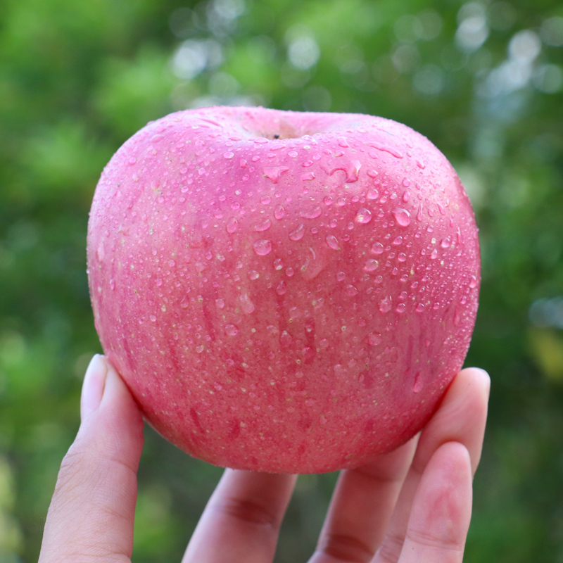 生鲜>水果>苹果类>靓果汇>靓果汇苹果类>