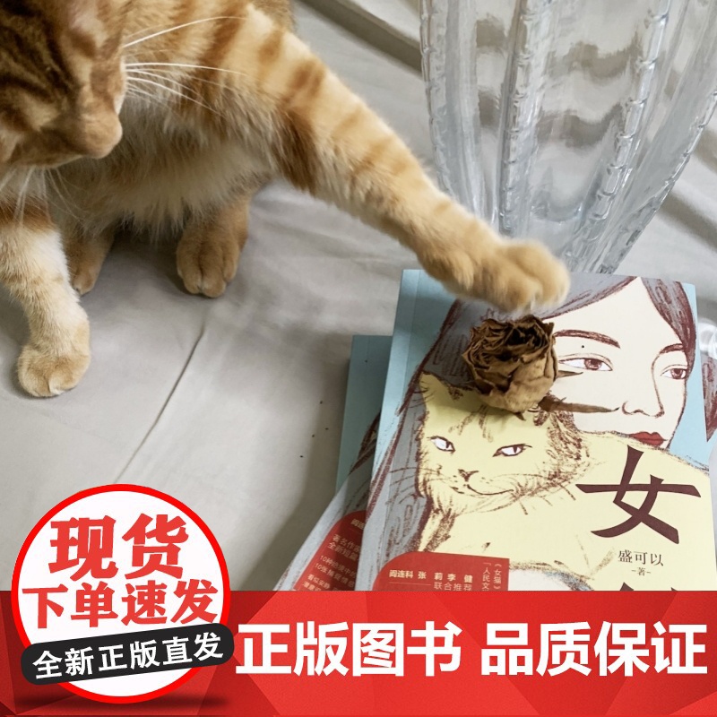 女猫 人民文学奖得主盛可以 全新短篇小说集 10种绝境中的人生故事仿佛10张捕捉情感危机的快照 看似安静 实则如火山般高清大图