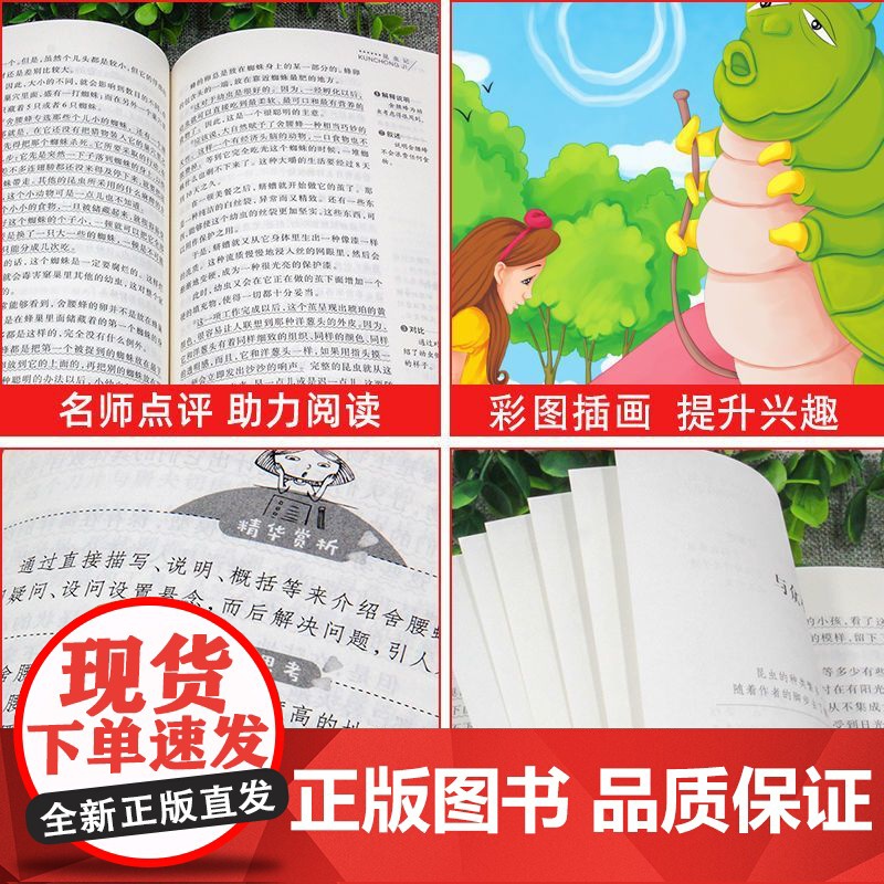 爱丽丝漫游奇境记正版书原著版六年级下册必读的课外书小学生书目阅读书籍6下学期天地出版社梦游仙境书奇遇镜漫游记奇迹艾三四五高清大图