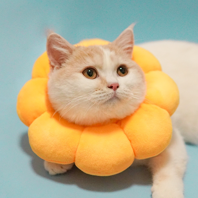 米妮幼猫伊丽莎白圈猫软狗项圈脖圈伊莉莎白伊利沙白防舔头套绝育用品