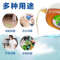 滴露消毒液750ml*2地板杀菌家用衣物除菌洗衣机用旗舰店官方旗舰