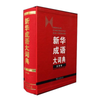 新华成语大词典 大字本