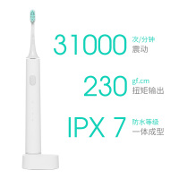 小米（MI）电动牙刷 DDYS01SKS 米家防水智能 成人充电式磁悬浮声波震动牙刷 象牙白