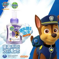 滴露汪汪队泡沫洗手液250ml瓶兰花香沁抑菌202207到期临期产品 汪汪队250ml
