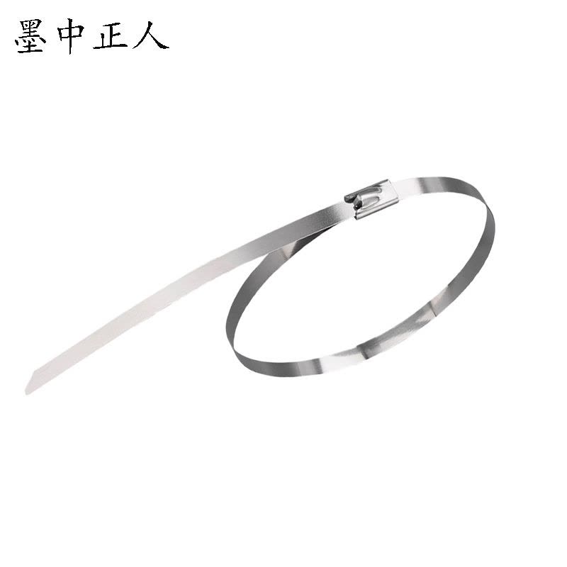 墨中正人不锈钢扎带zd300根图片