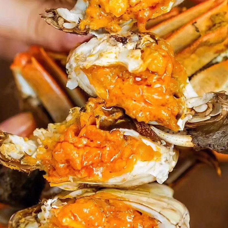 活蟹现捕现发泗洪洪泽湖大闸蟹全母蟹2两8只鲜活螃蟹礼盒装