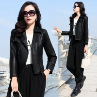 免费试穿 真皮皮衣女短款绵羊皮2024春秋装新款皮夹克矮个子韩版修身小外套潮冬装新款机车复古短上衣多款皮衣小外套 咖啡8066翻领 3XL