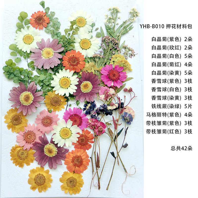 Diy押花材料包干花包手机壳diy压花装饰画材料组合包真干花图片 高清实拍大图 苏宁易购