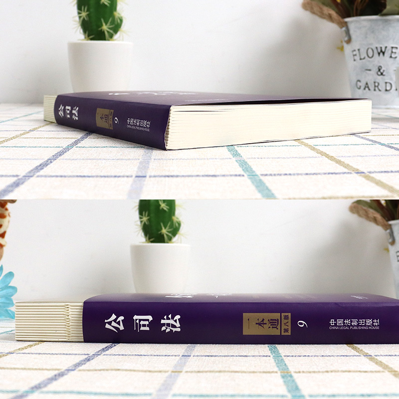 [正版] 公司法一本通9 第八版 中国法制 法律法规司法解释条文主旨案例裁判理解适用 实务参考书 公司股权担保投资关联高清大图