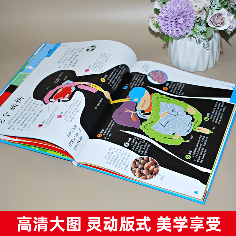 有趣的营养[越吃越健康] [正版]生命是什么书DK有趣的营养越吃越健康儿童趣味科普百科我们的身体小学生幼儿揭秘健康饮食翻